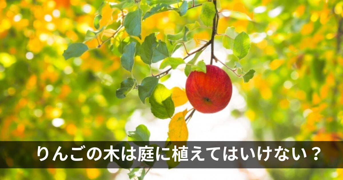 りんごの木は庭に植えてはいけない？