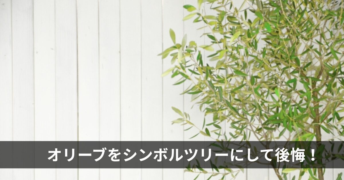 オリーブをシンボルツリーにして後悔