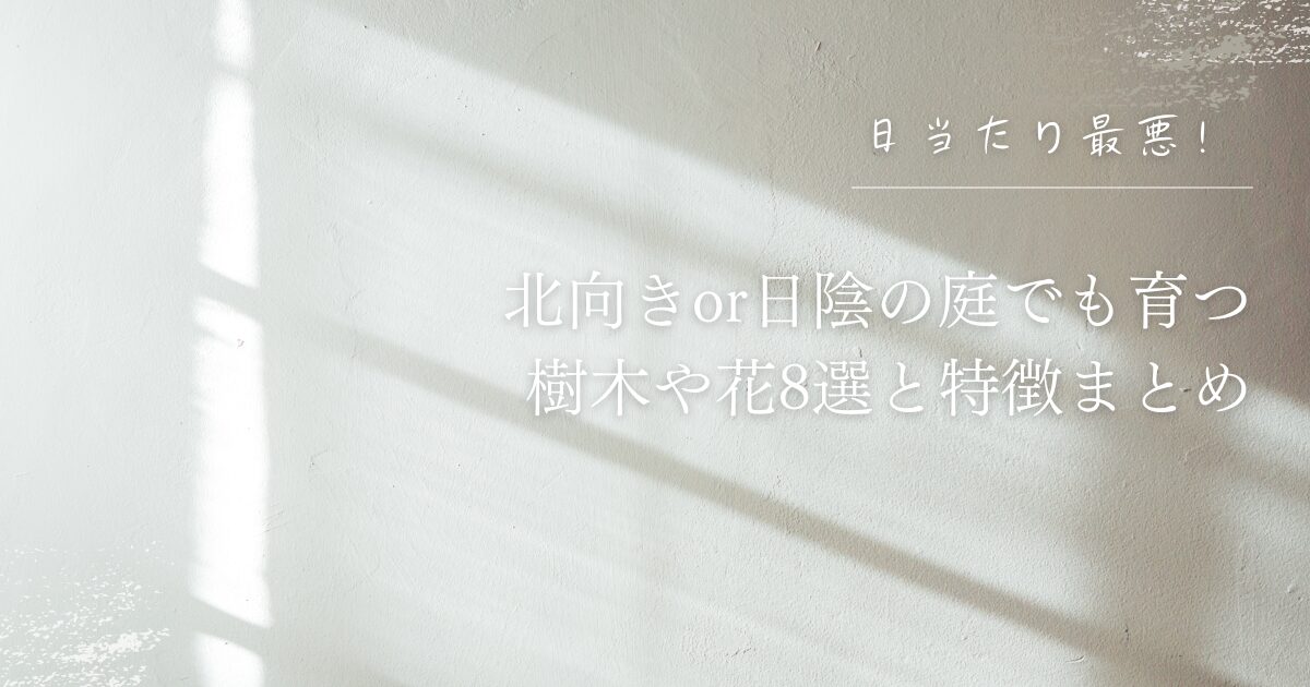 日当たり最悪！北向きor日陰の庭でも育つ樹木や花8選と特徴まとめ