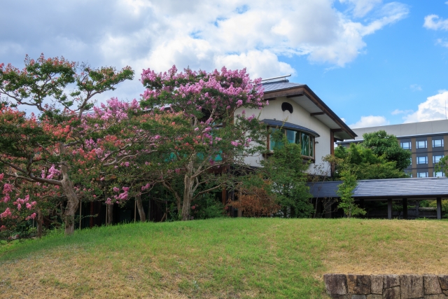 庭に植えられた百日紅